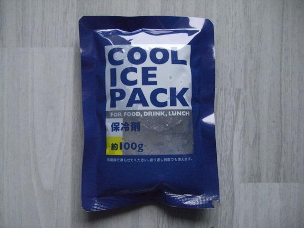 PE Ice Pack